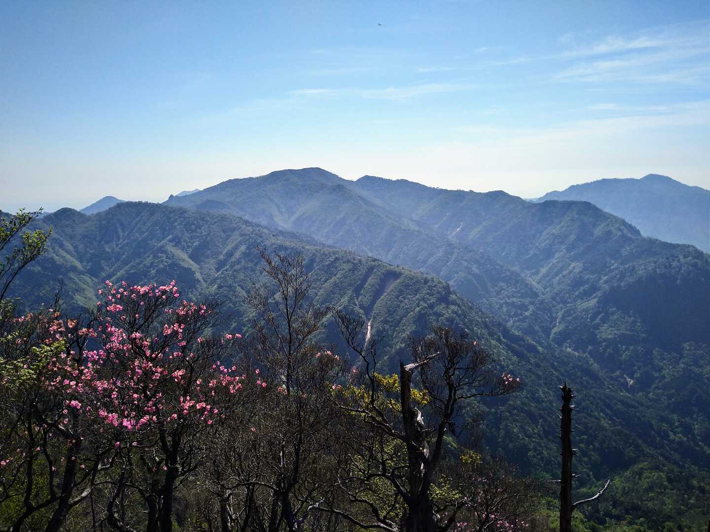 絶景②　プライスレス