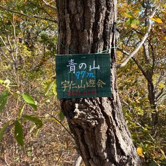 青の山到着⛰️