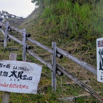 ４時に迎えに行くからね
実家大阪から太尾登山口にやってきました
ここまでは落石注意のクネクネ道🚗

手前で母に酔い止め薬を飲ませます
