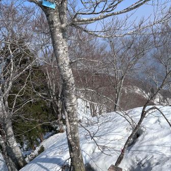 雪溶けでティアラ届かない
雪解けで気の根元の看板もお目見え