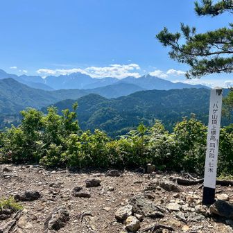 ハゲ山