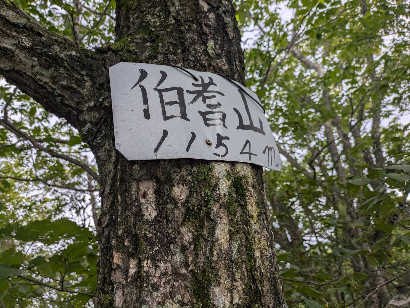 ほうきやま着
でもちゃんと
変換に出てきてる🙂‍↕️