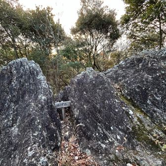 らくだ🐪岩🪨
どこから見たら🐫なんだろうと？と考える必要もありませんよね😆