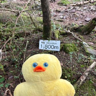 1800m