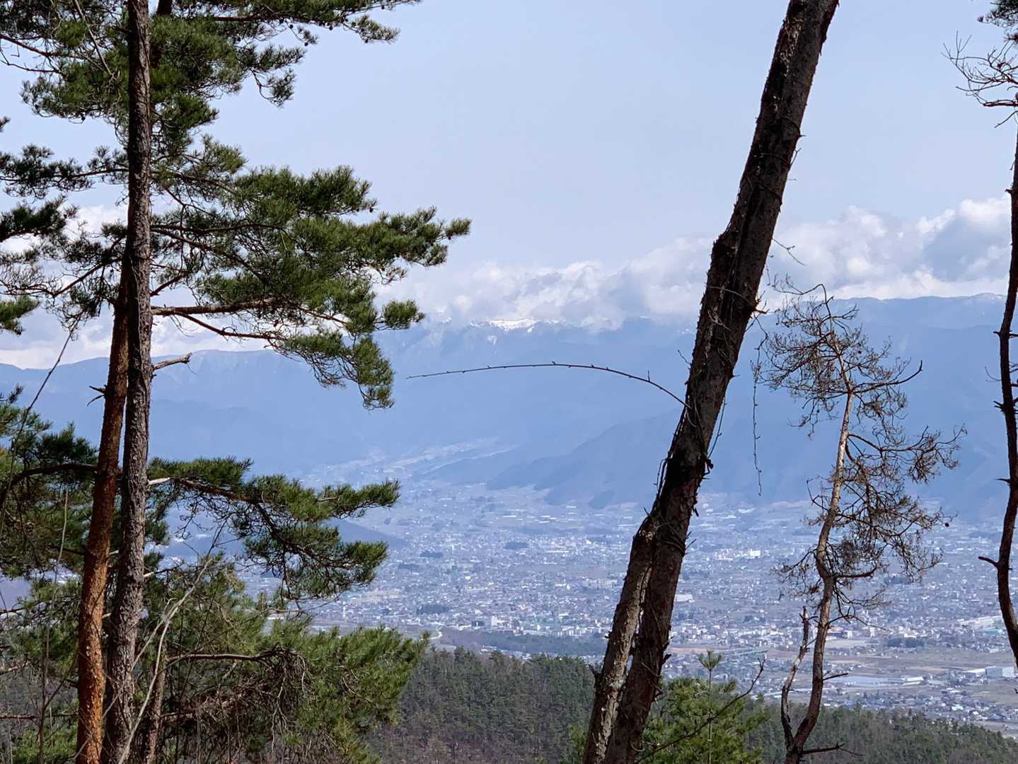 大蔵経寺山-深草山 往復コースの写真