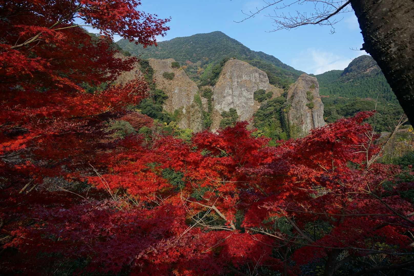 だってこんなに綺麗な
もみじが狩れるんですもんね👍

今年最高峰の紅葉🍁です✌️