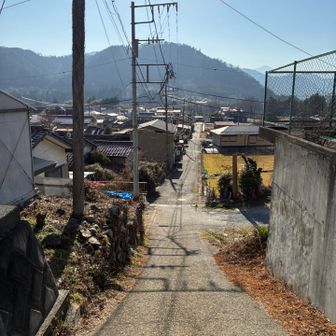 帰りも千木良バス停から相模湖駅へ。以前は良く駅まで歩きましたが、ひたすらロードで結構長いし、もうすぐ駅というところで後から来たバスに抜かれたこともあるし（いっしょにバス待ちしていたハイカーの方も同じ経験したらしい）、今はもっぱらバスで楽してます🤣
乗ったら5、6分だし😸✨