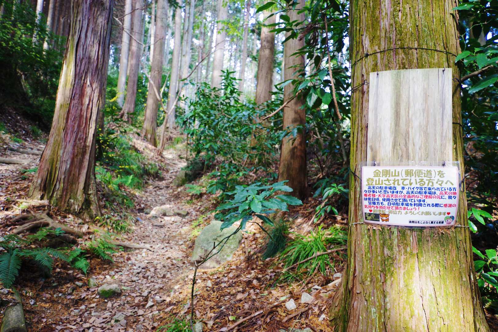 この道はかつて郵便局員が徒歩で山頂まで郵便物を配達したことに由来して郵便道と呼ばれているそうです