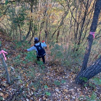 ここからは激下り💦