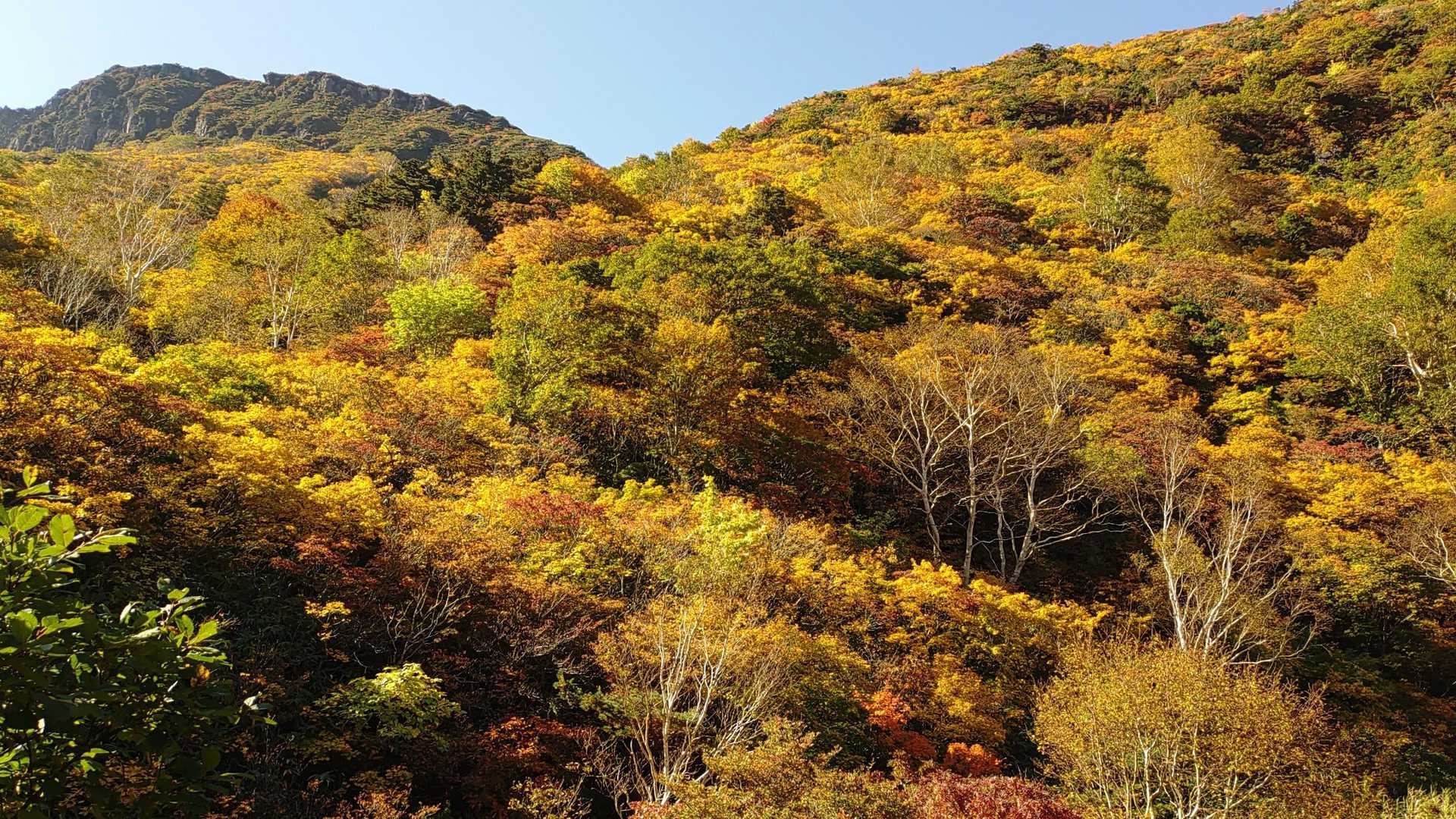 塩沢登山口-安達太良山-鉄山 周回コースの写真