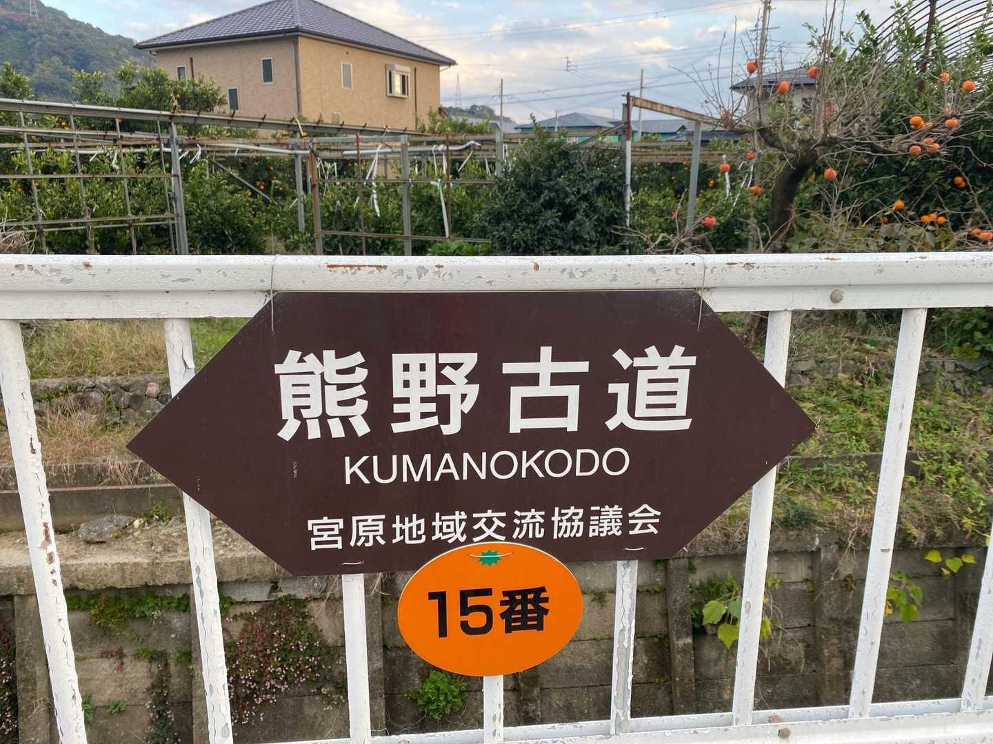 15番もみかん🍊やね