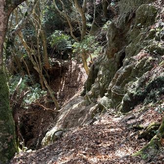 巻き道ちょっと怖い😱