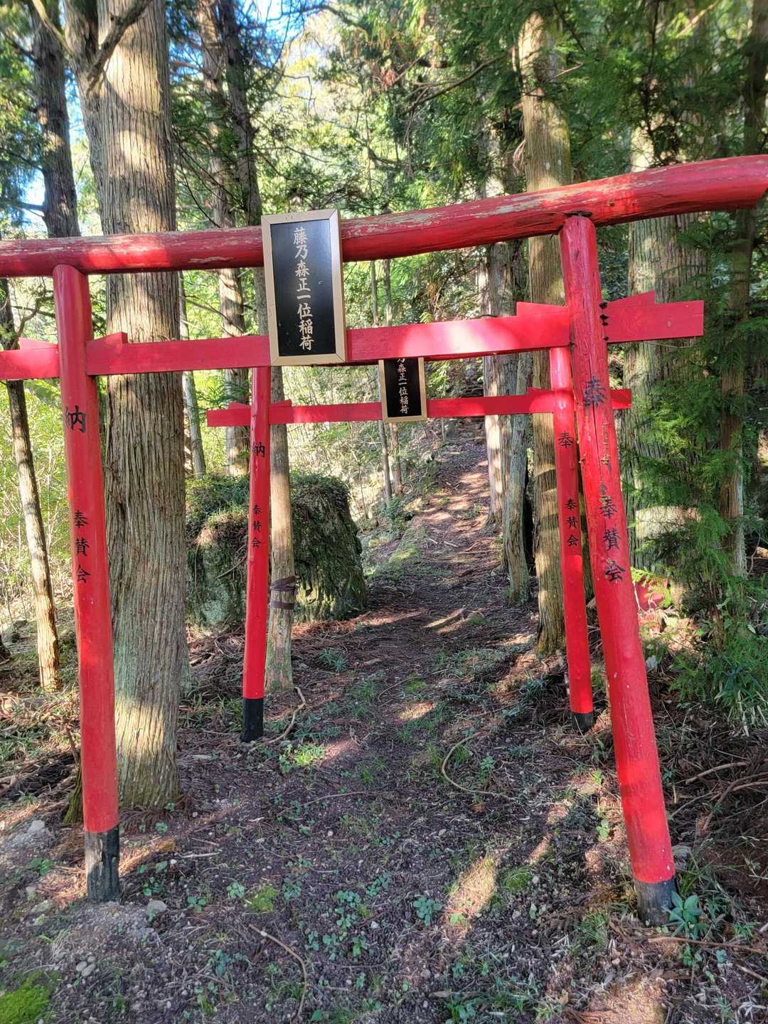 藤乃森稲荷神社