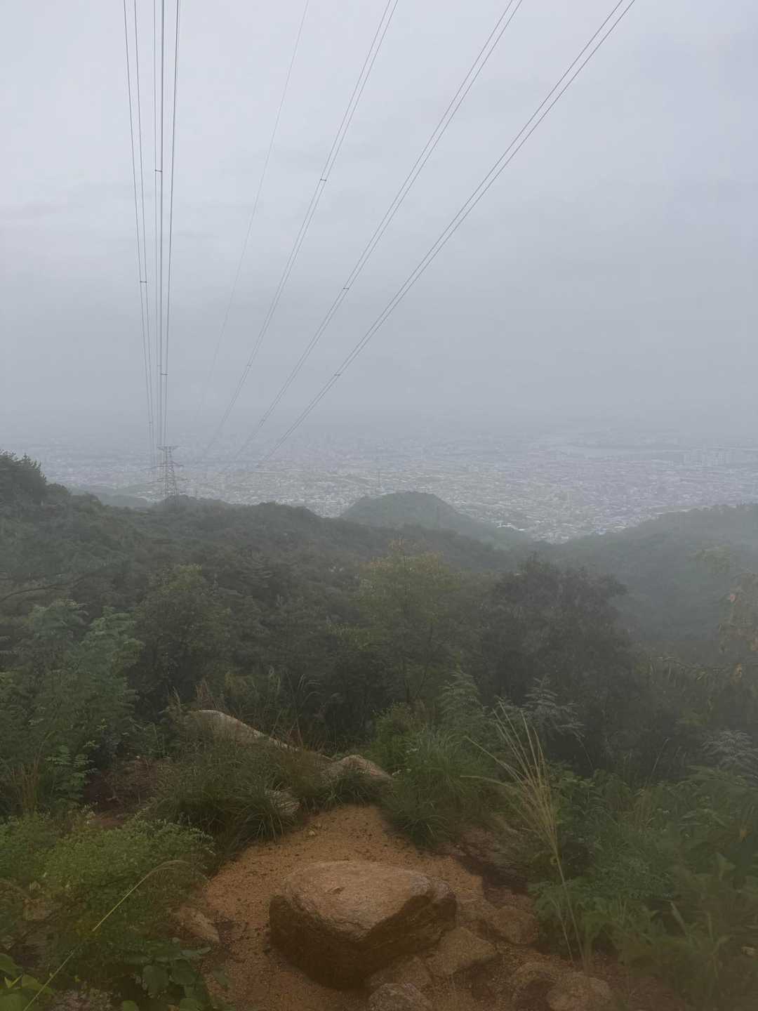 芦屋川駅-雨ヶ峠-土樋割峠-東お多福山登り口-東おたふく山 縦走コースの写真