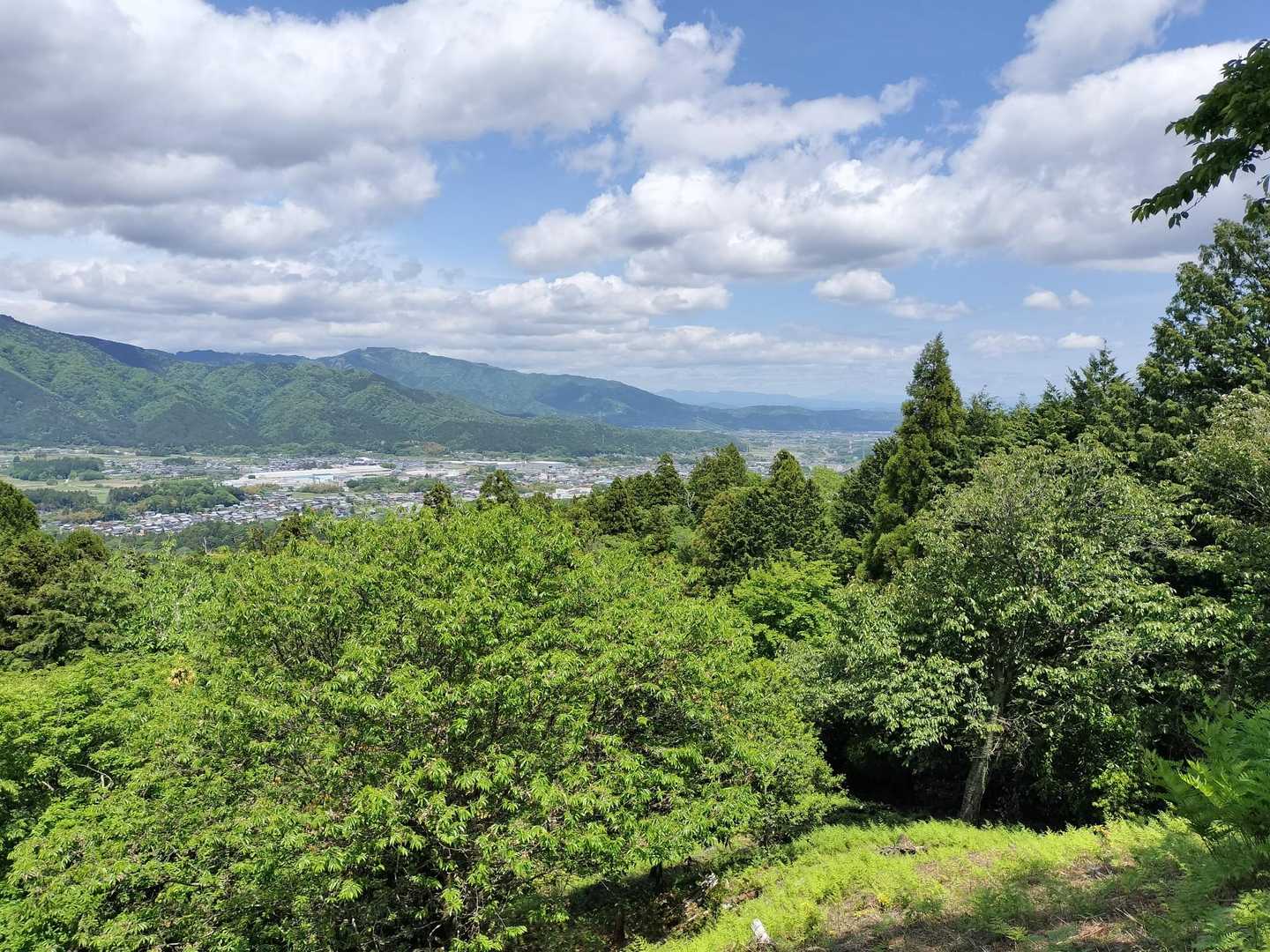 よく見渡せます。