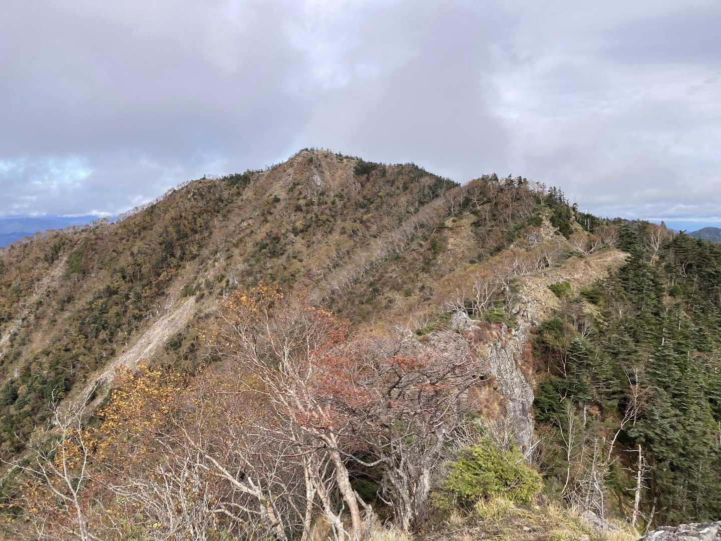 小太郎からの太郎山⛰