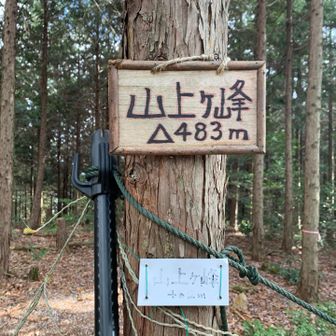 この辺から寒い😨