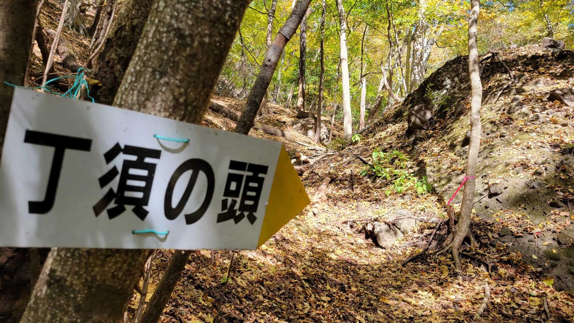 破線ルートですが、いくつあるんだよ？ってくらいこの標識とピンクテープあり👍️
