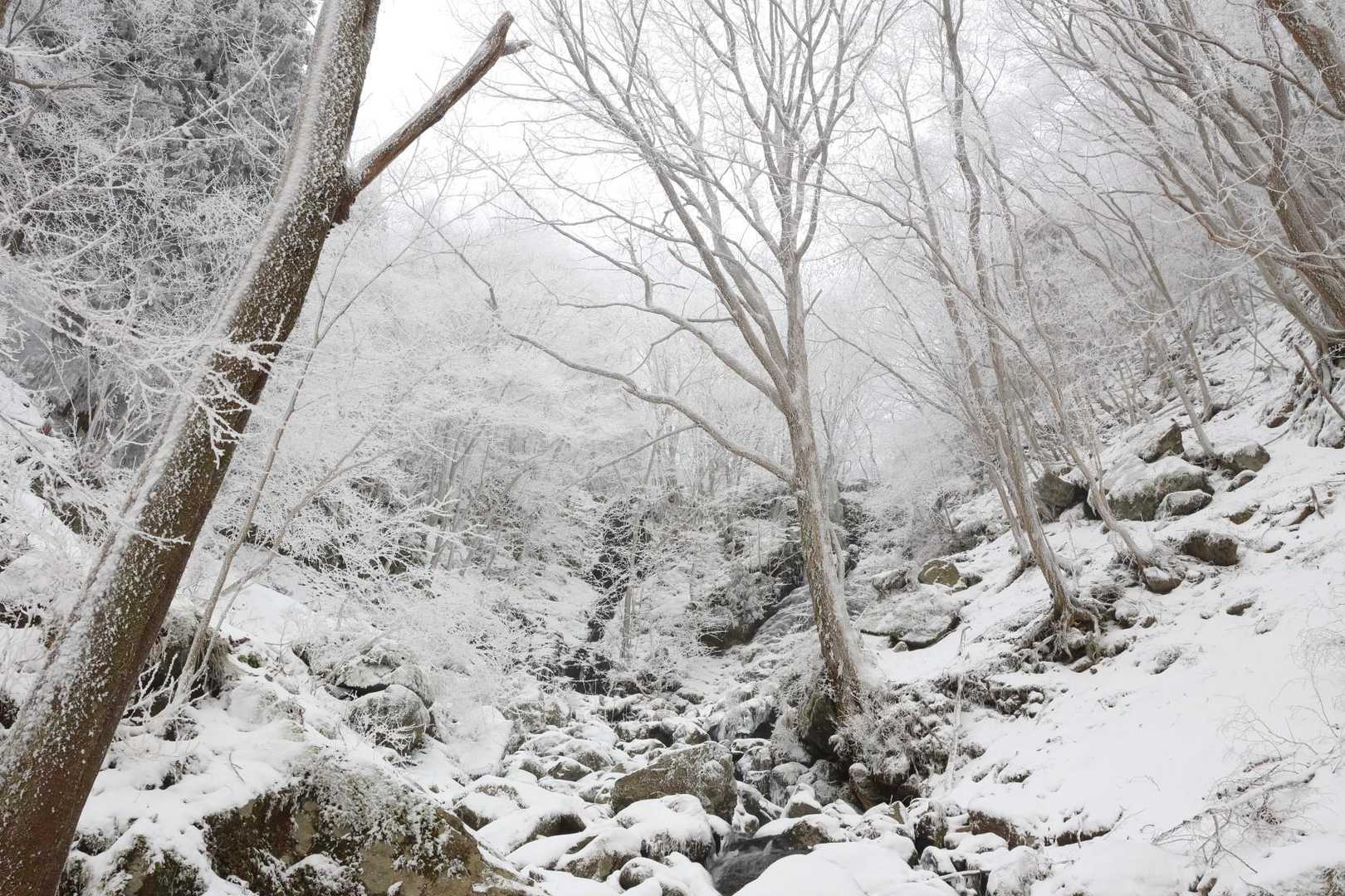 まぁ、これはこれで良しとしましょう👍