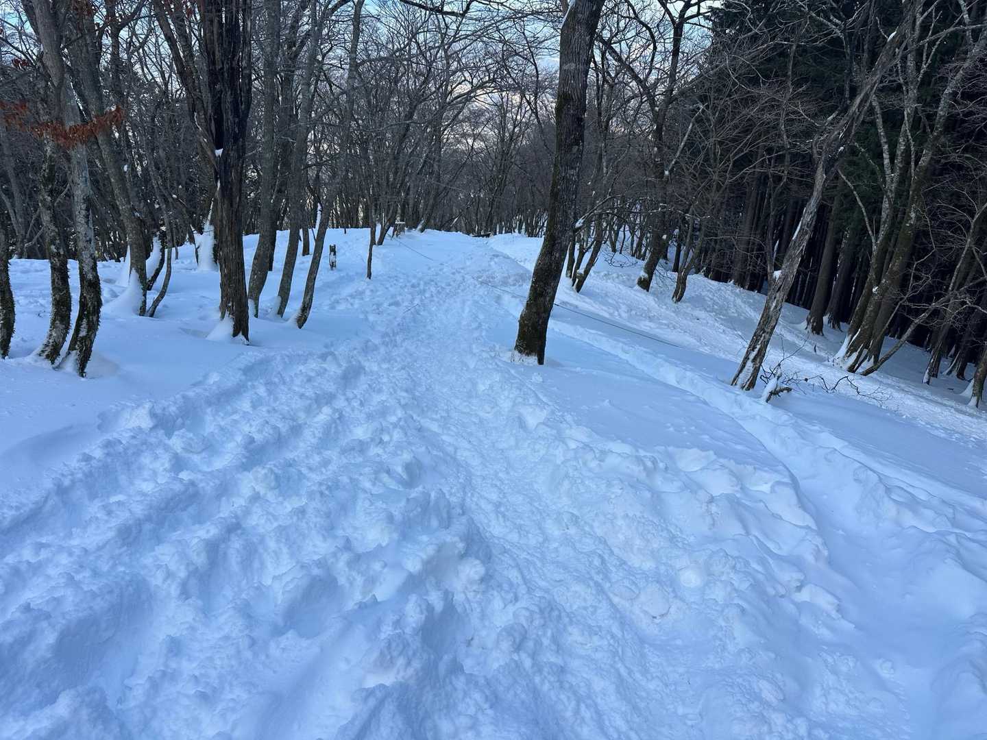 帰りは楽楽😃