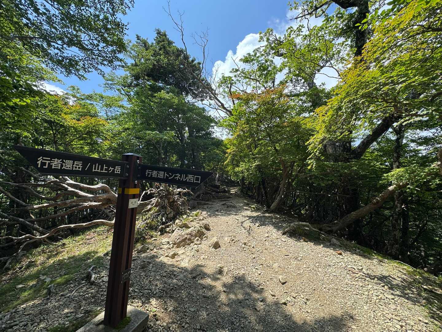 やはり大峯奥駈道は良き☺️
何度も歩きたくなる道🙏
