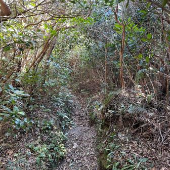 風がなく落ち着く