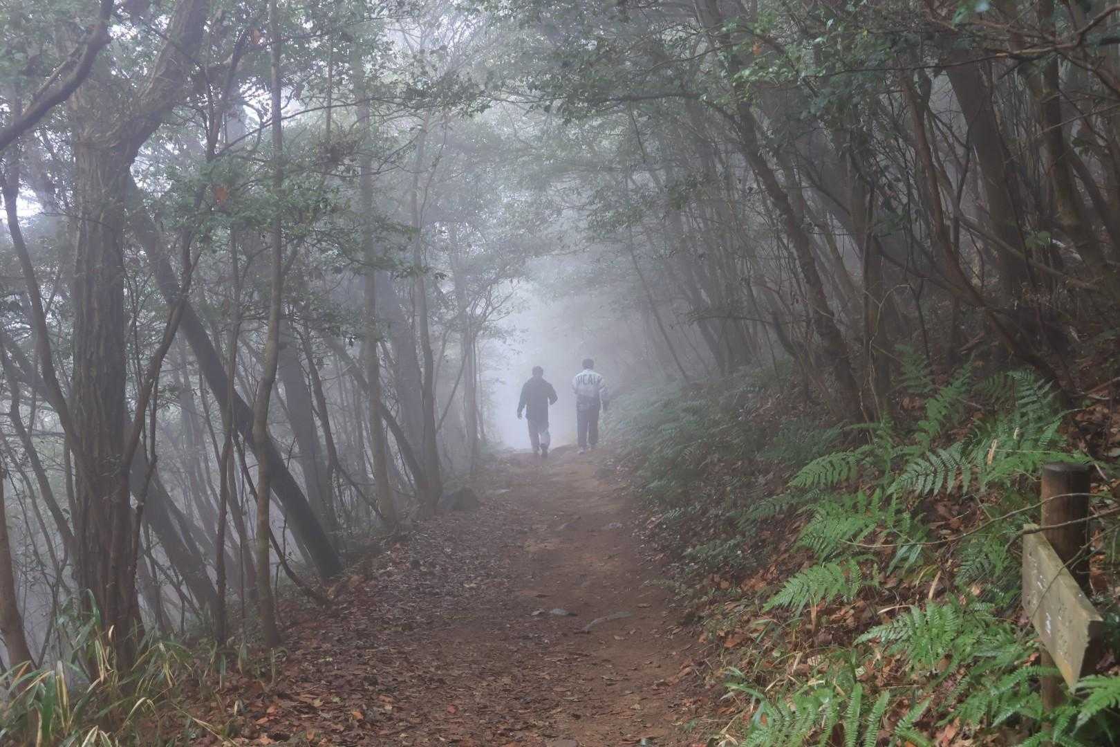今日は雨後で霞んでいました