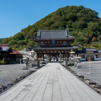 調べてみると
僕は「地」属性らしい。

以下のサイトで生年月日と
血液型から診断できる
↓
https://zokusei.mond.jp/