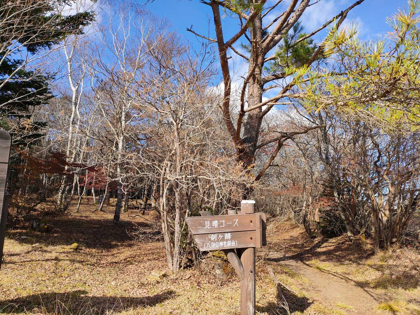 ここから歩きます