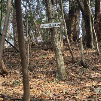 らしいですよ☝️