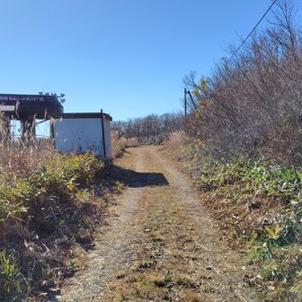 山頂に直接向かうルートを探してみましたが藪に埋まっていたので、
とりあえずリフトの山頂駅方面に向かいます。