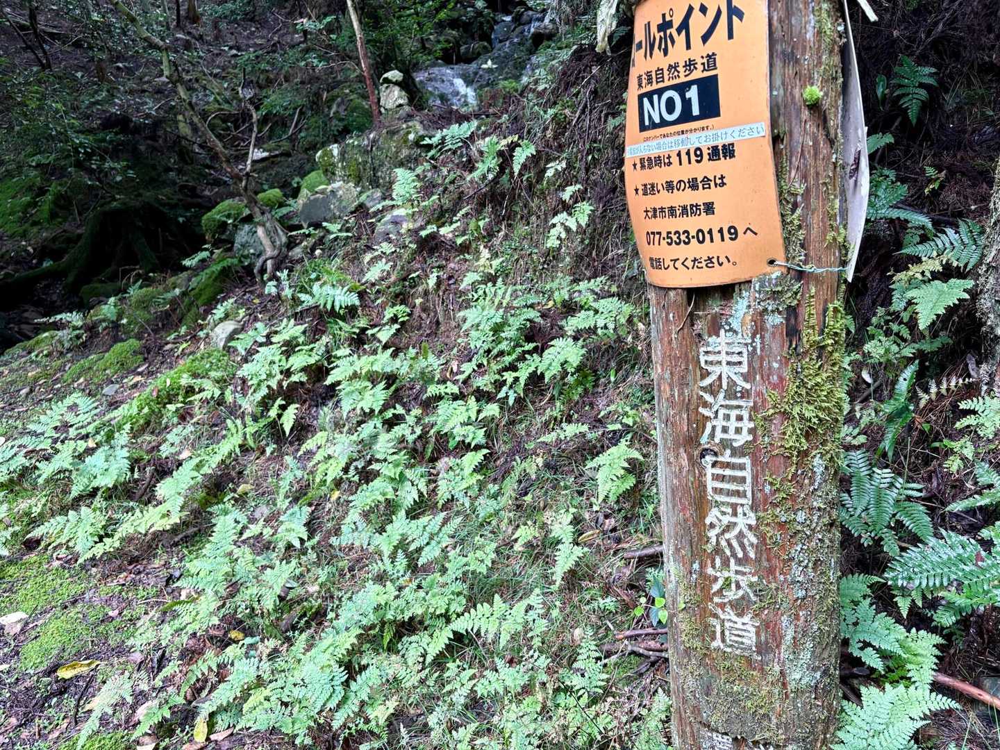 ここは『東海道自然歩道』なのですね。