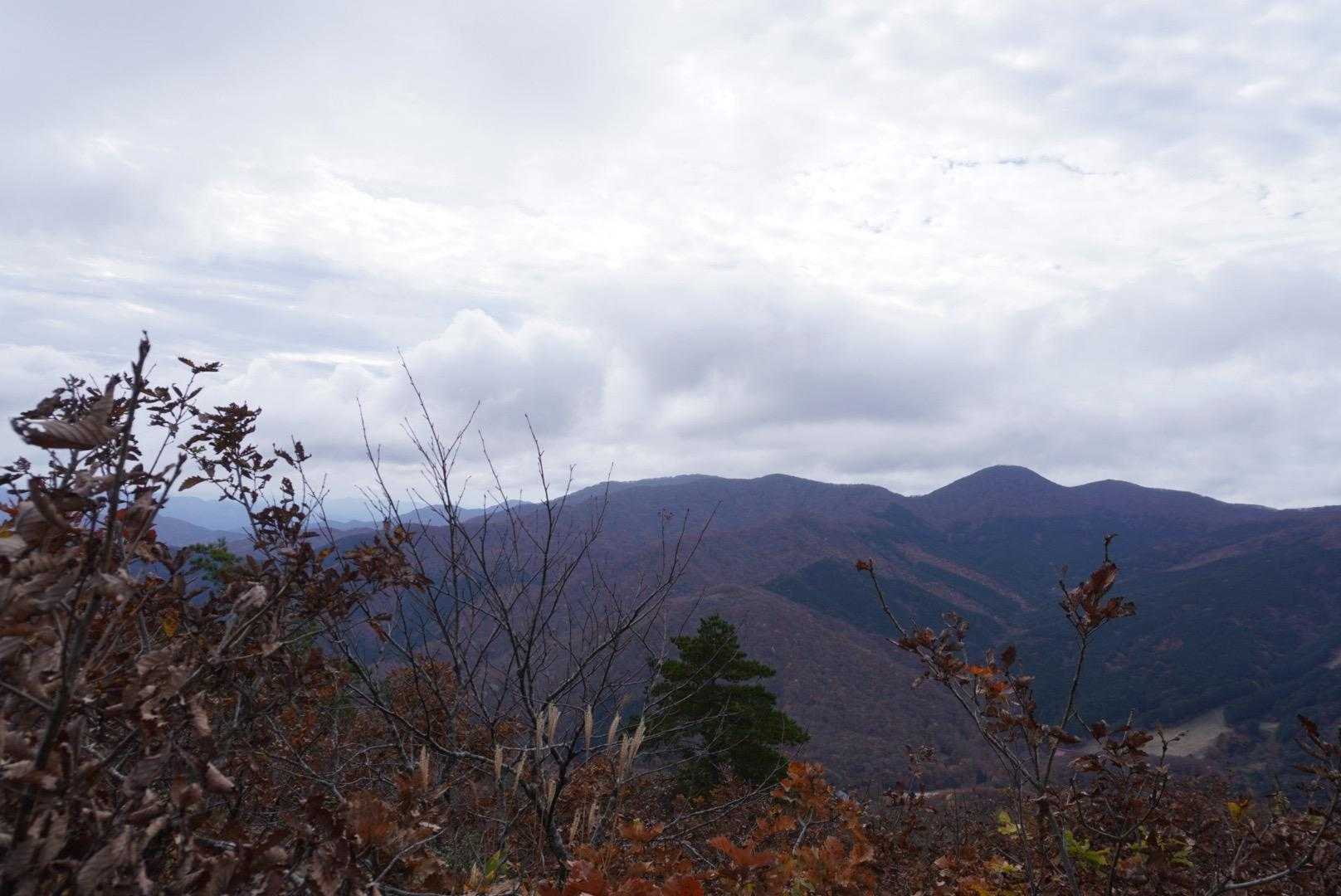 青空ならもっと綺麗に見えるかなと思いながら…
贅沢は言えませんね