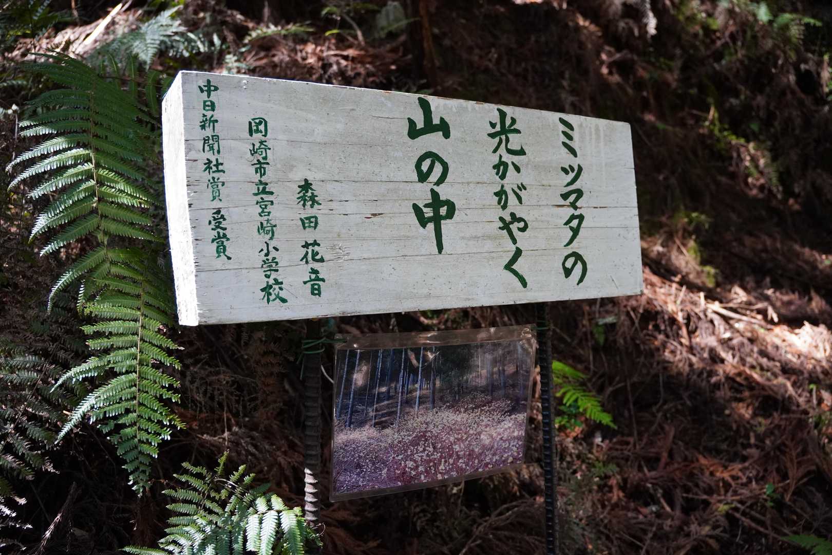今しかない！
今週がベストだったかも！