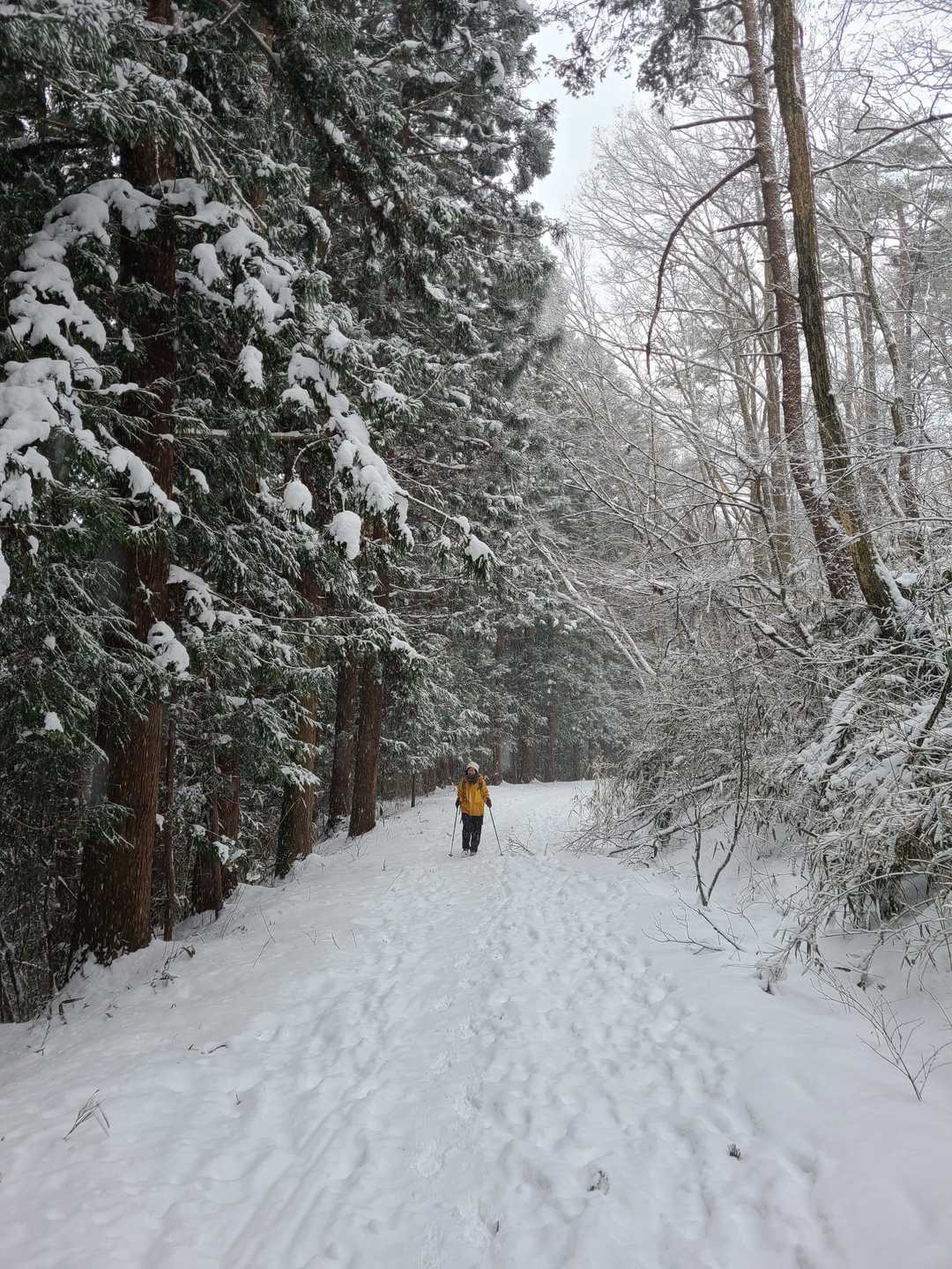 雪道楽しい😃🎶