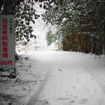 今日はさすがに滝目前の駐車場まで車で来ている人はいませんでした