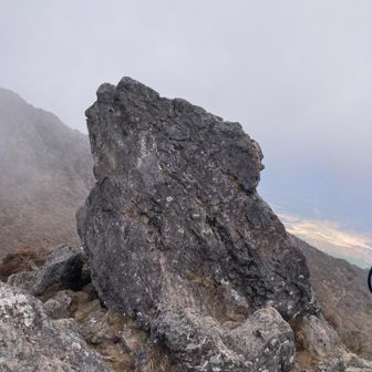 昨年雪❄️が張り付いてた岩🪨やと思いパチリ