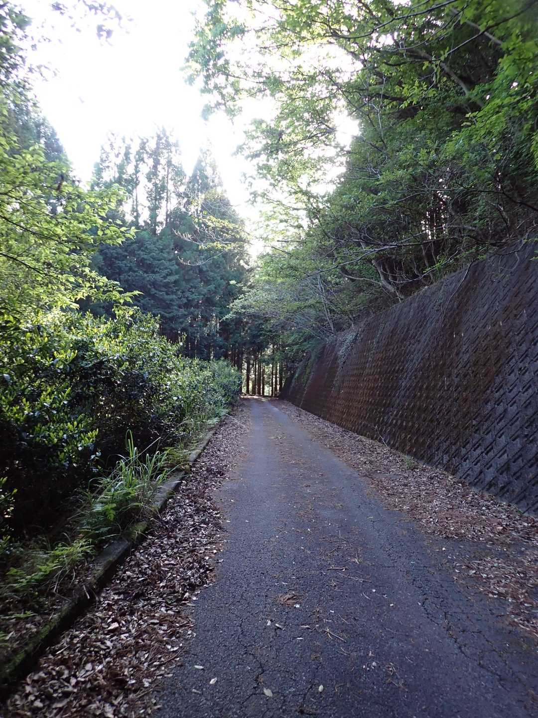 帰り道はこんな感じ😓
ピストンにすればよかったかも…