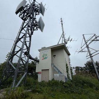 麓から見てコレがあるところが笹野山の山頂と②