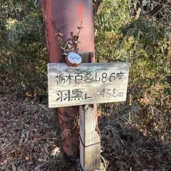 山頂に着いたら
激疲れで心折れました
モチベーションって大事ですよね
なんだか体が重い(  ･᷄-･᷅ ).｡oO