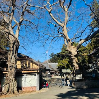 黄金山神社に戻りました⛩️