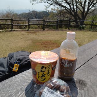 今日はジャンキーなお供。