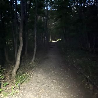 二の坂