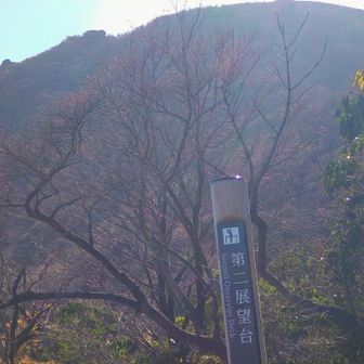 第二展望所から二子石方面を望む🙋