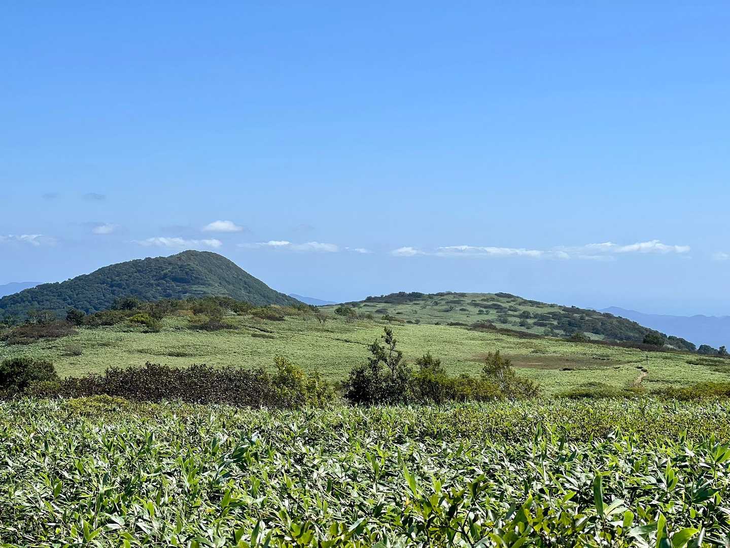 振り返り👀
左の⛰が袴腰岳 
右のなだらかな所が烏帽子岳山頂です
