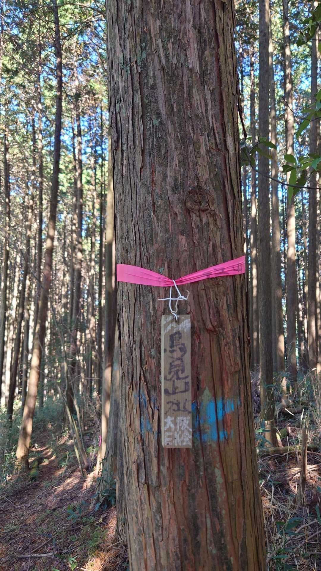 最初気づかずに通り過ぎようとしたよ。眺望はない