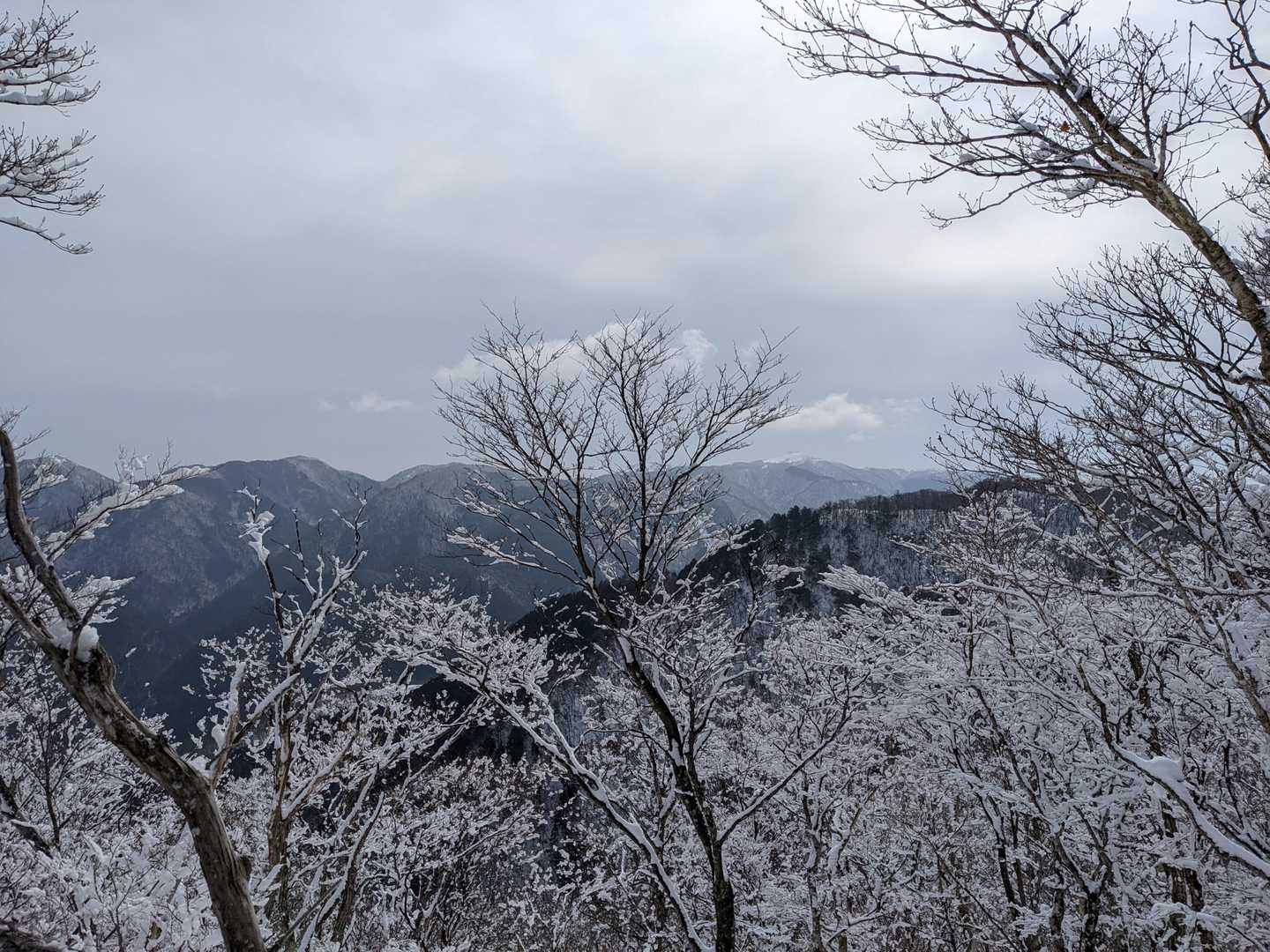 かろうじて山頂の景色？