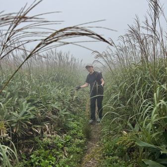 ススキ🌾晴れていたら映えるんだろうな。