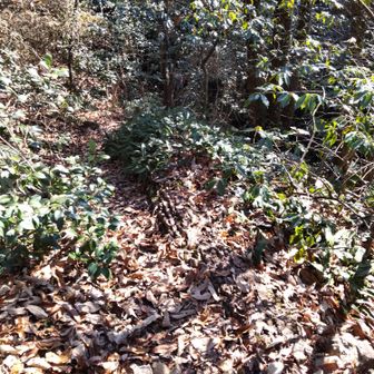 道間違ってない⁉️