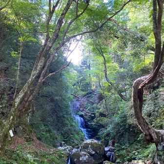 スタート時、活動開始押し忘れたので、獲得標高2,000m超える為、自分のみ蛇渕の滝まで登り返して無事獲得標高2,000m超えて終了🙆‍♂️